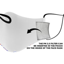 Load image into Gallery viewer, ZOOMI WEARS "VOTE" FASHION FACE MASK